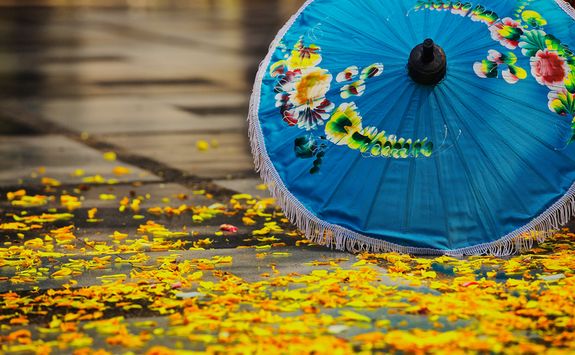 Chiang Mai lake parasol