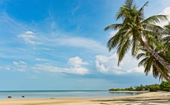 Koh Samui tropical beach