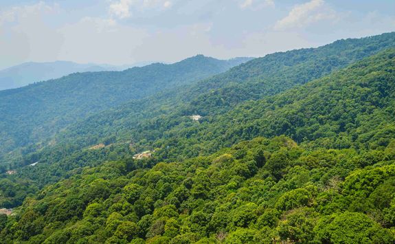 Doi Suthep highlands