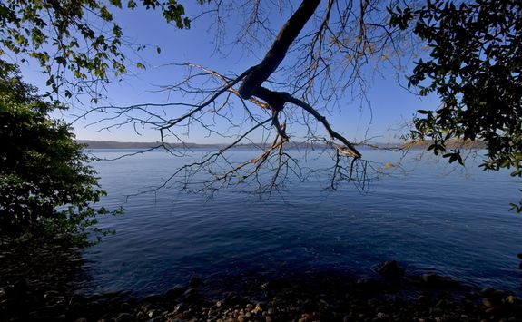 Papagayo bay