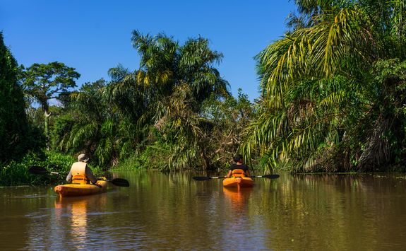 kayak in the rainforest