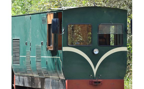 train at Iguazu