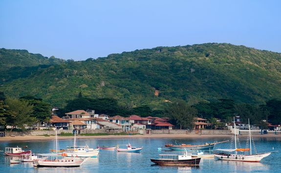 Coast landscape