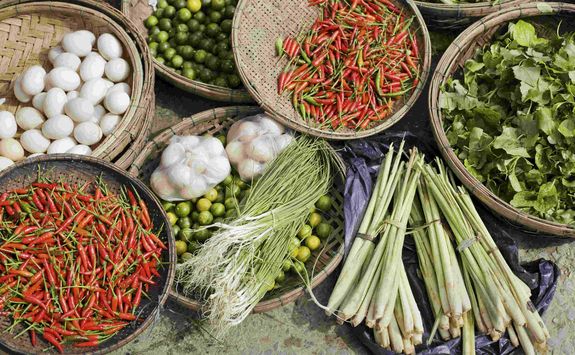 Vietnamese ingredients