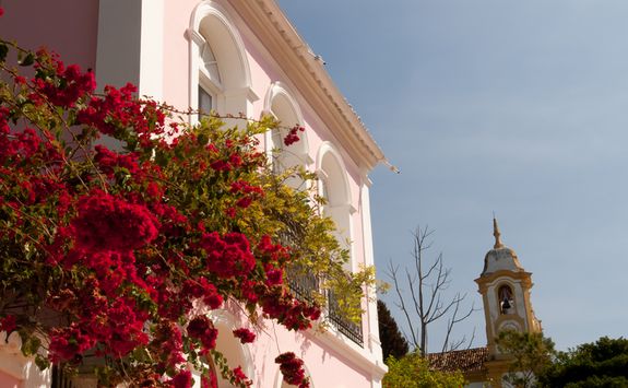 Pink House