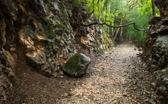 Hellfire pass forests