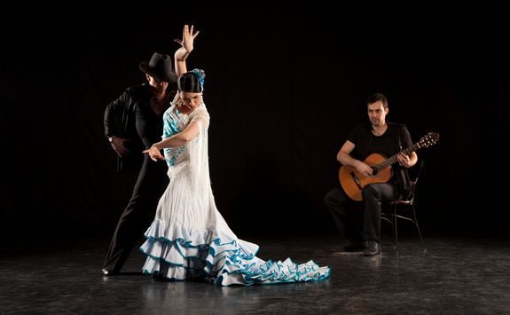 Flamenco show
