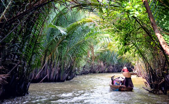 mekong delta