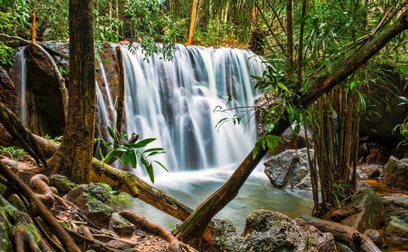 waterfall in the jungle