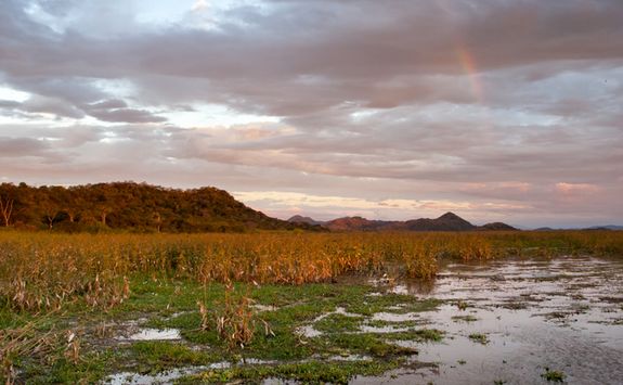 Palo Verde National Park