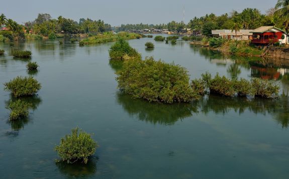 Island on the Mekong River