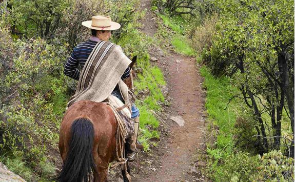 Cowboy horse riding in Chile