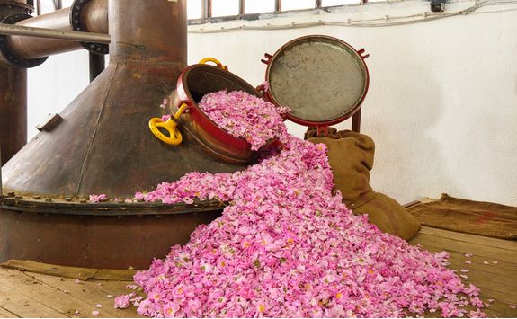 Big Oven and Pink Flowers