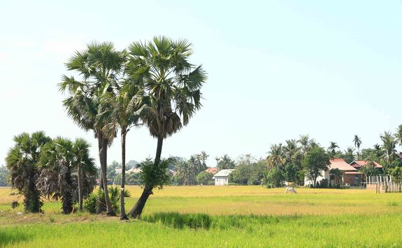 Countryside around Siem Reap