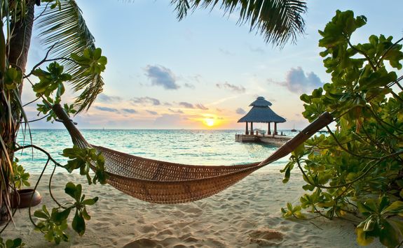 Hammock on a beach