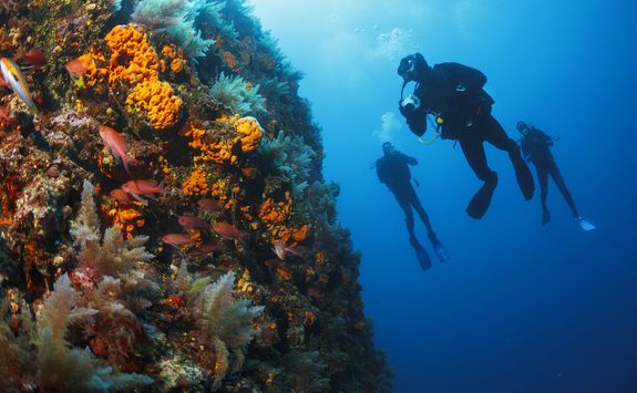 Diving from the Four Seasons