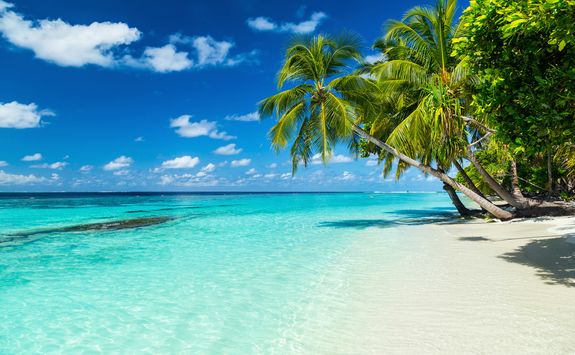 White sand beach in the Maldives