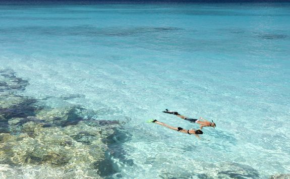 Snorkelling in Anguilla