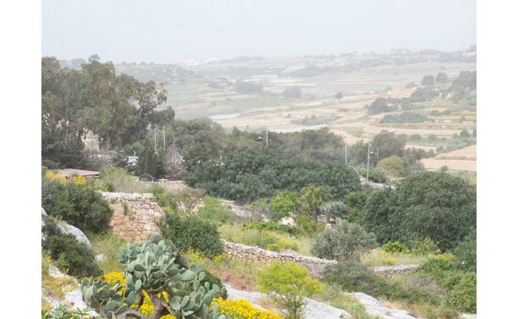 Spring in Gozo