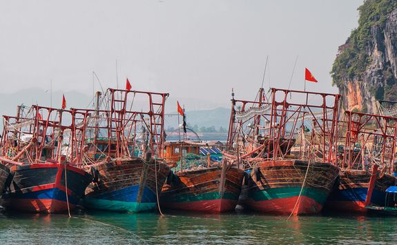 bai tu long boats