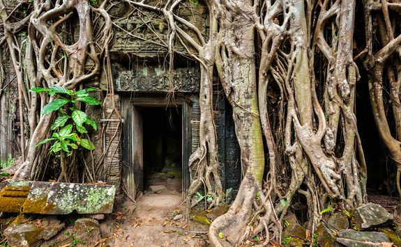 ta prohm temple