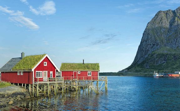 Red rorbuer in Reine