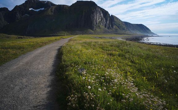 Cycle path in the Lofoten Islands