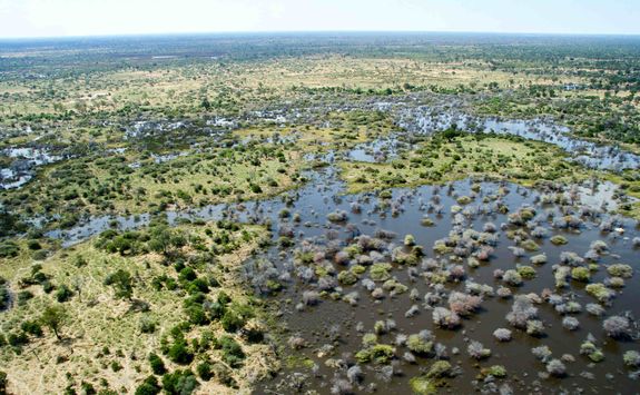 Okavango Delta aerial