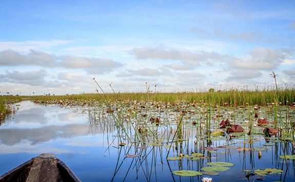 Mokoro canoe trip