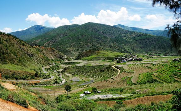 Chimi Lhakhang