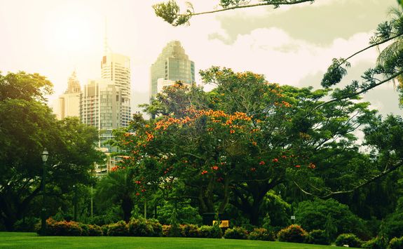 brisbane botanical garden