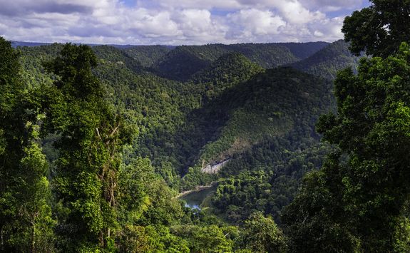 athertons tablelands