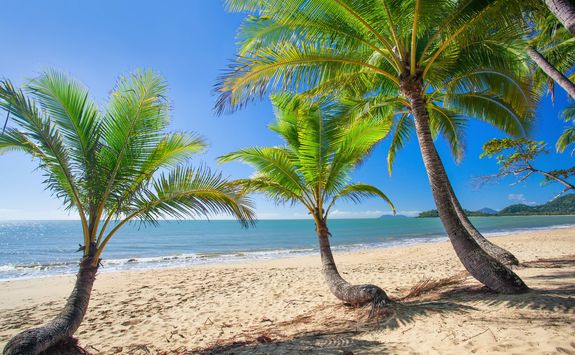 tropical coastline