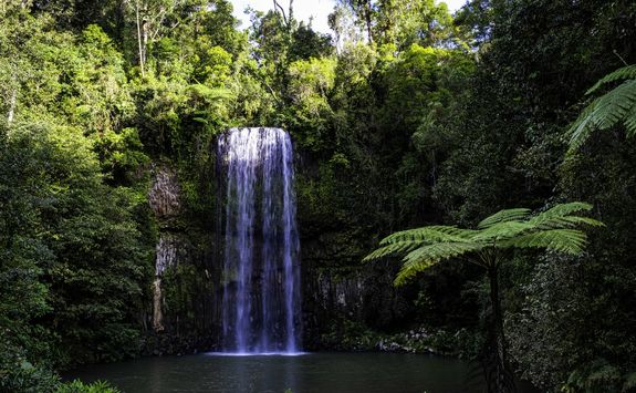millaa millaa waterfall
