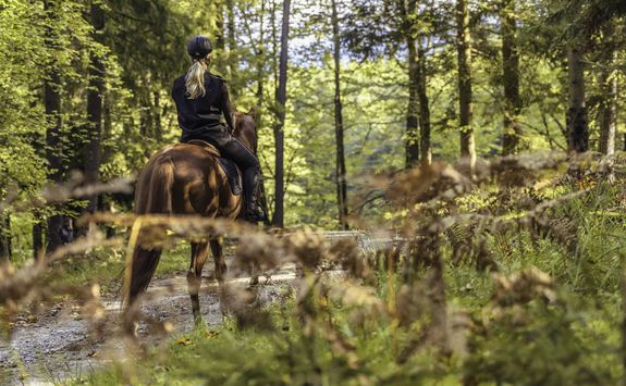 Horse riding