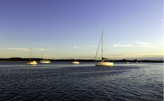 Boats in a bay