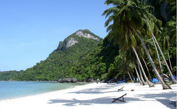 Tents on the beach