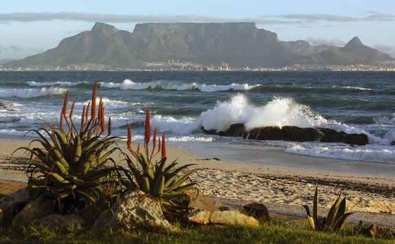 table mountain coastline