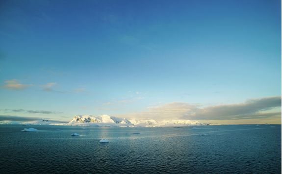 The south pole