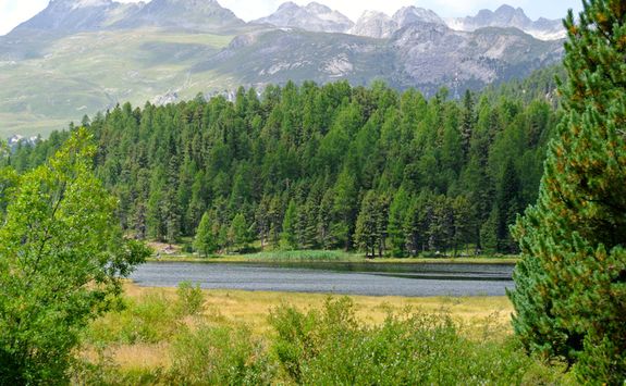 Lake Staz and mountains