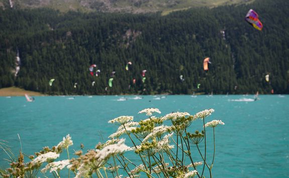 Kite Surfing