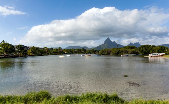 Tamarin bay