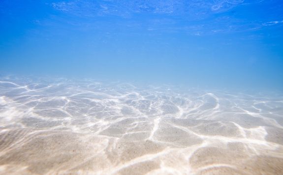 Mauritius underwater coastline
