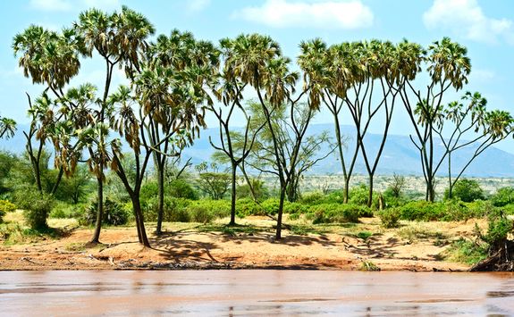 Samburu National Park