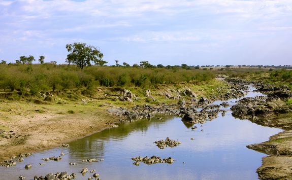 Mara river