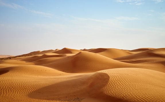 Wahiba desert dunes