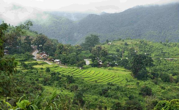 Rice paddy near Kalaw