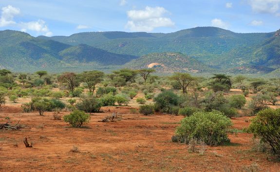 Laikipia plateau