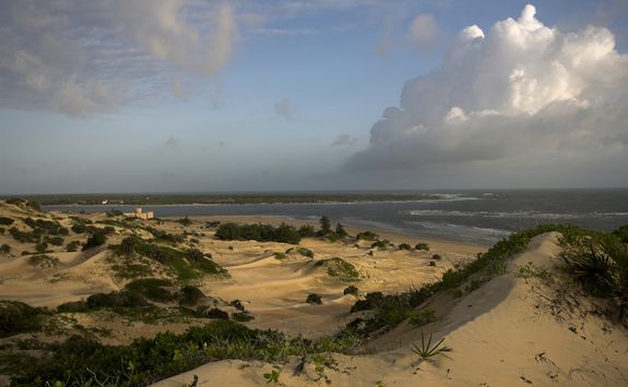 Lamu sand dunes