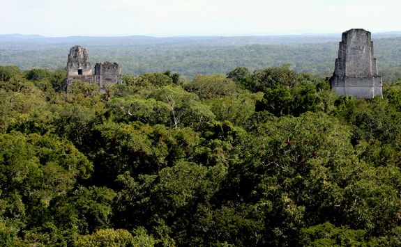 Tikal temple view